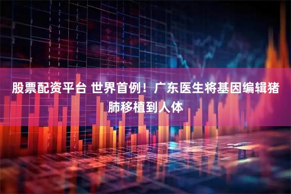 股票配资平台 世界首例！广东医生将基因编辑猪肺移植到人体