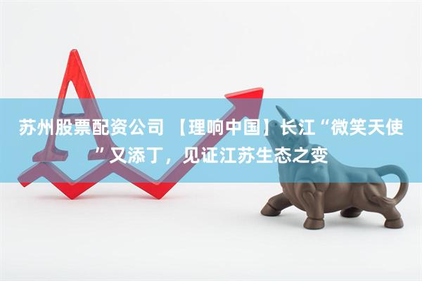 苏州股票配资公司 【理响中国】长江“微笑天使”又添丁，见证江苏生态之变